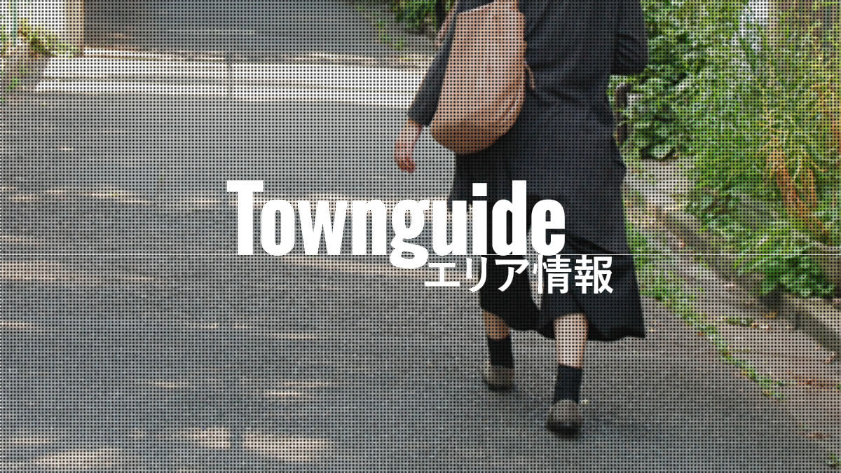 Townguide